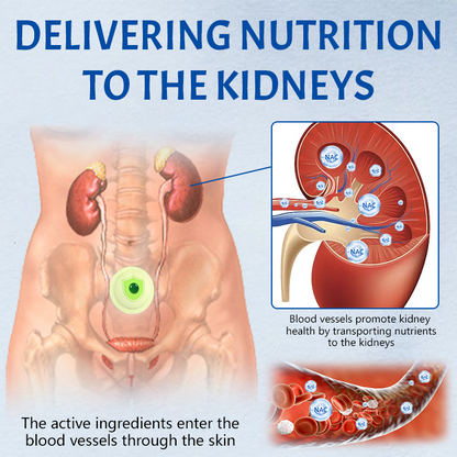 Ceoerty™ NephroFlex Kidney Boost Patch