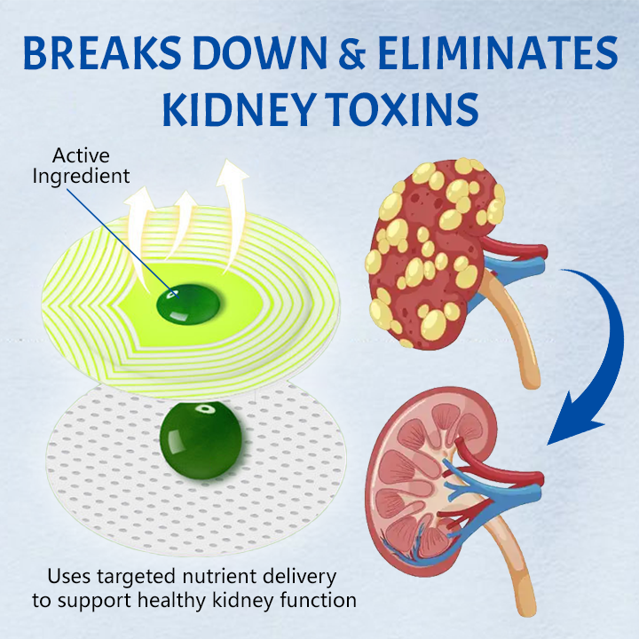 Ceoerty™ NephroFlex Kidney Boost Patch